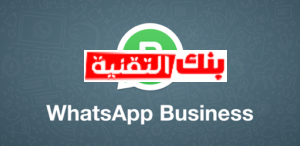 WhatsApp business